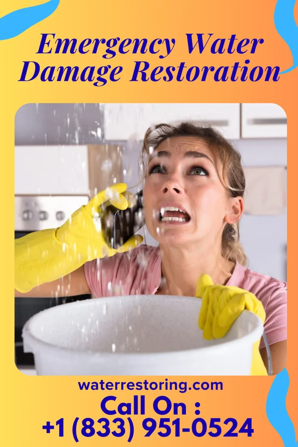 Emergency Water Damage Restoration in Bethalto, IL
