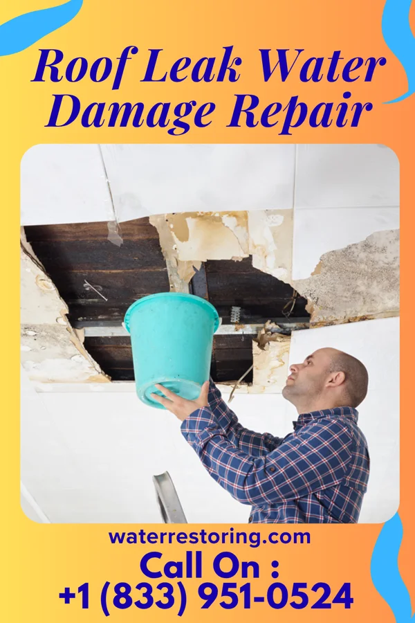 Roof Leak Water Damage Repair in Bethalto, IL